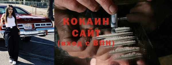 шишки Армянск