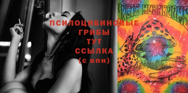 шишки Армянск